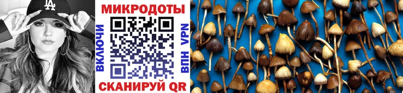 Галлюциногенные грибы мицелий  Одинцово 